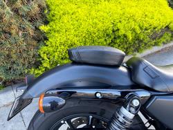 2019 HARLEY-DAVIDSON XL883N IRON 883 Black