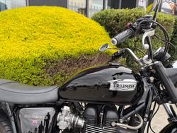 2008 Triumph BONNEVILLE