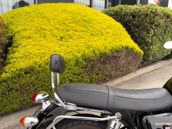 2008 Triumph BONNEVILLE