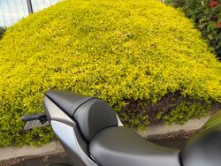 2023 Kawasaki NINJA 650 Grey