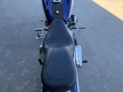 HARLEY-DAVIDSON 2008 HARLEY DAVIDSON 1584CC SOFTAIL CUSTOM Hunter Green