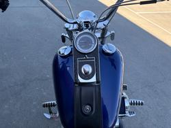 HARLEY-DAVIDSON 2008 HARLEY DAVIDSON 1584CC SOFTAIL CUSTOM Hunter Green