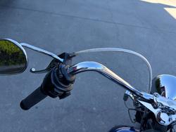 HARLEY-DAVIDSON 2008 HARLEY DAVIDSON 1584CC SOFTAIL CUSTOM Hunter Green