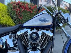 HARLEY-DAVIDSON 2008 HARLEY DAVIDSON 1584CC SOFTAIL CUSTOM Hunter Green