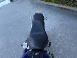 HARLEY-DAVIDSON 2008 HARLEY DAVIDSON 1584CC SOFTAIL CUSTOM Hunter Green