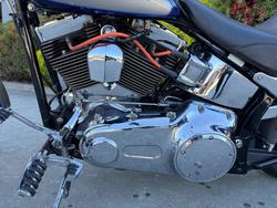 HARLEY-DAVIDSON 2008 HARLEY DAVIDSON 1584CC SOFTAIL CUSTOM Hunter Green