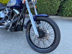 HARLEY-DAVIDSON 2008 HARLEY DAVIDSON 1584CC SOFTAIL CUSTOM Hunter Green