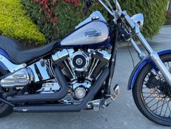 HARLEY-DAVIDSON 2008 HARLEY DAVIDSON 1584CC SOFTAIL CUSTOM Hunter Green