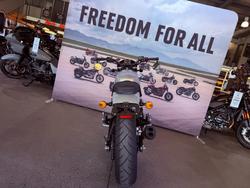 2025 Harley-davidson HD500-10A H-DX X500 Silver