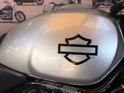 2025 Harley-davidson HD500-10A H-DX X500 Silver