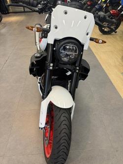 2023 Indian FTR SPORT Black