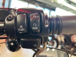 2009 Harley-Davidson Iron 883 (XL883N) Sportster Black