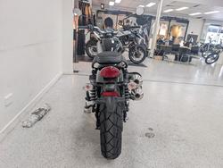 2025 Triumph SCRAMBLER 900 Black