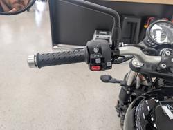 2025 Triumph SCRAMBLER 900 Black