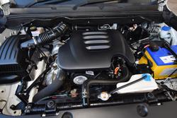 2022 GWM Ute Cannon-X