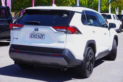 2020 Toyota RAV4 Cruiser