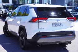 2020 Toyota RAV4 Cruiser