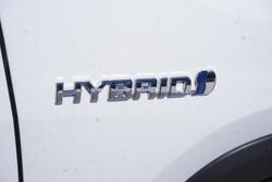 2020 Toyota RAV4 Cruiser