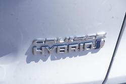 2020 Toyota RAV4 Cruiser
