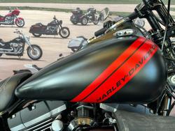 2017 HARLEY-DAVIDSON FXDF FAT BOB