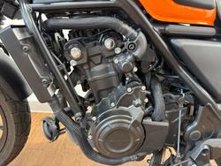 2024 Honda CL500 ORANGE