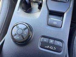 2025 Ford Everest Trend