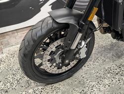 2024 Harley-Davidson X 500 X Orange