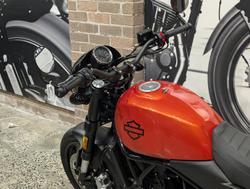 2024 Harley-Davidson X 500 X Orange