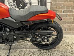 2024 Harley-Davidson X 500 X Orange