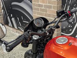 2024 Harley-Davidson X 500 X Orange