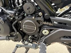 2022 Benelli LEONCINO (ABS) BLACK