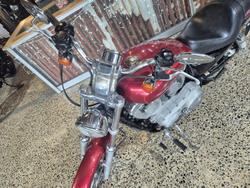 2005 Harley-Davidson Sportster (XL883)