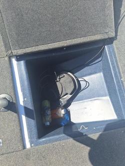 2023 QUINTREX 450 Hornet Pro