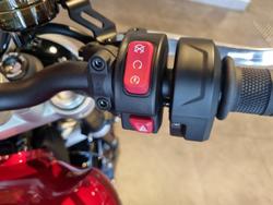 2025 Triumph Speed Twin 1200 Speed Twin Red