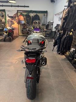 2026 Triumph TIGER 900 RALLY PRO