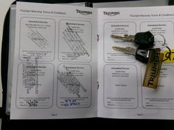 2016 Triumph TIGER EXPLORER White