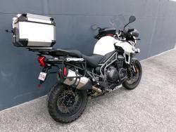 2016 Triumph TIGER EXPLORER White