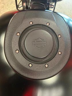 2019 Harley-Davidson FXDR 114 (FXDRS) Softail Black