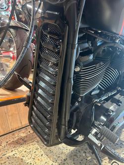 2019 Harley-Davidson FXDR 114 (FXDRS) Softail Black