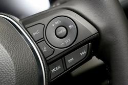 2025 Toyota RAV4 Cruiser