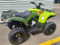 2025 Yamaha Grizzly 110 (YFM110G) Grizzly Green