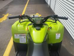 2025 Yamaha Grizzly 110 (YFM110G) Grizzly Green