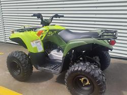2025 Yamaha Grizzly 110 (YFM110G) Grizzly Green