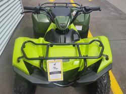 2025 Yamaha Grizzly 110 (YFM110G) Grizzly Green