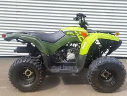 Yamaha Grizzly 110 (YFM110G)