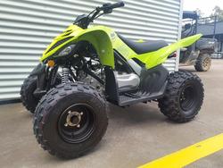 2025 Yamaha Raptor 110 (YFM110R) Raptor Green