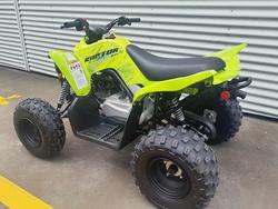 2026 Yamaha Raptor 110 (YFM110R) Raptor Green