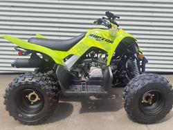 2026 Yamaha Raptor 110 (YFM110R) Raptor Green