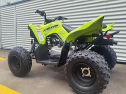 2026 Yamaha Raptor 110 (YFM110R) Raptor Green