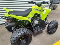 2026 Yamaha Raptor 110 (YFM110R) Raptor Green